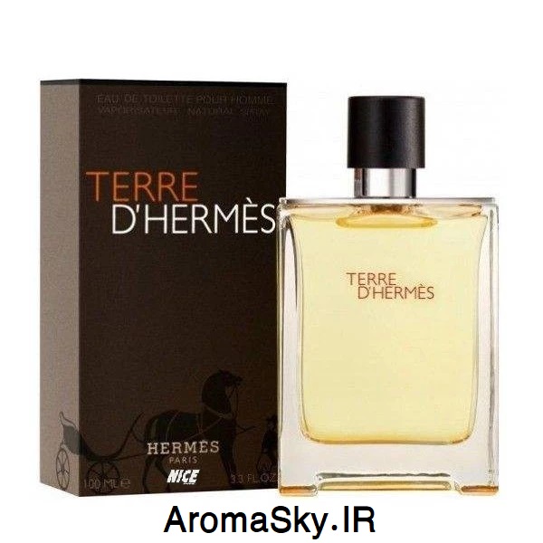 عطر مردانه نایس پاپت مدل Terre D'Hermes تق هرمس 100 میلی ‌لیتر - عطر آسمان